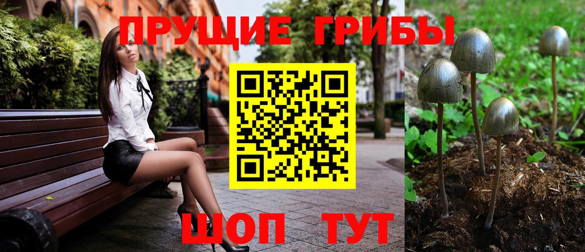 Краснокаменск  Псилоцибиновые грибы Cubensis  Вход с VPN  Псилоцибиновые грибы GOLDEN TEACHER 