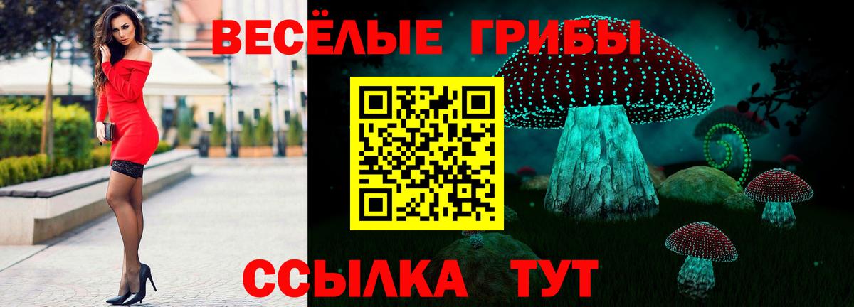 Псилоцибиновые грибы мицелий Краснокаменск